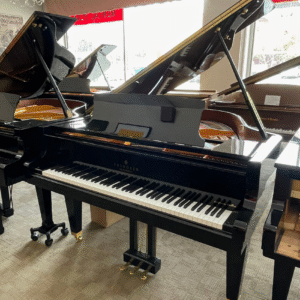 Fridolin 5'1" F156 Grand Piano | Polished Ebony | New